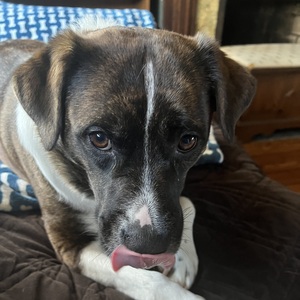 Fundraising Page: Rita Jordan Keller